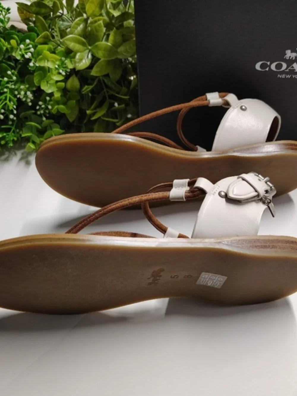 Coach Clarkson Thong Sandals Chalk Saddle Leather Ankle Strap Size 5M NWT